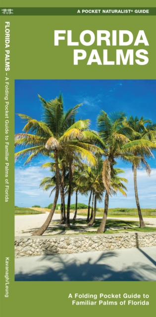 Florida Palms : A Folding Pocket Guide to Familiar Palms of Florida, Paperback / softback Book