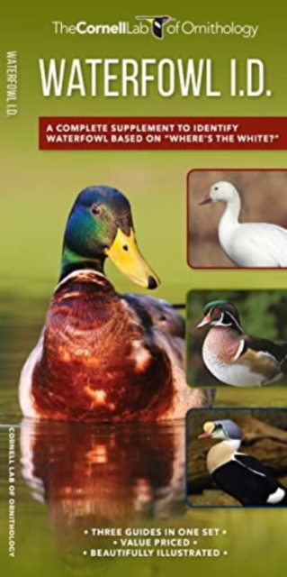 Waterfowl Id Set : A Complete Supplement to Indentify Waterfowl Based on Where's the White?, Multiple-component retail product Book