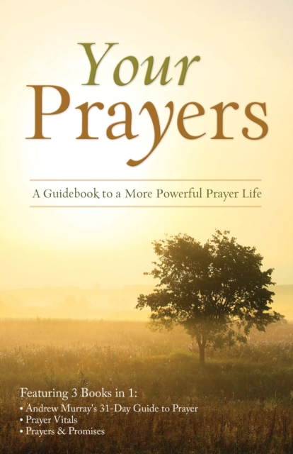 Your Prayers : A Guidebook to a More Powerful Prayer Life, EPUB eBook