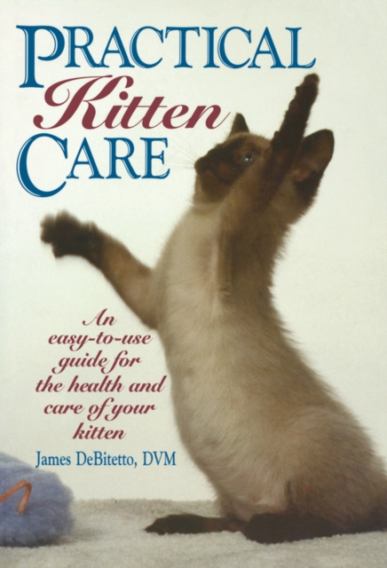 Practical Kitten Care, EPUB eBook