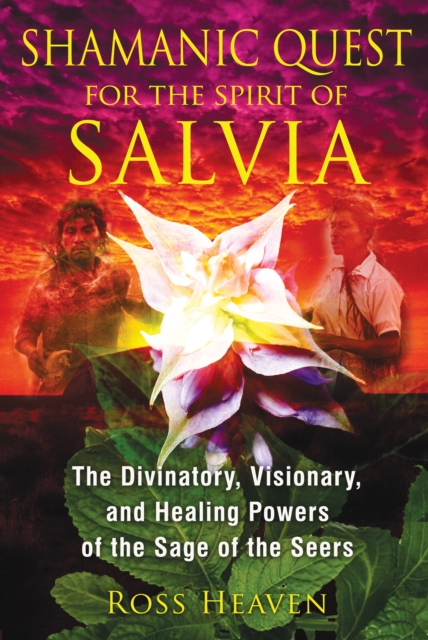 Shamanic Quest for the Spirit of Salvia : The Divinatory, Visionary, and Healing Powers of the Sage of the Seers, Paperback / softback Book