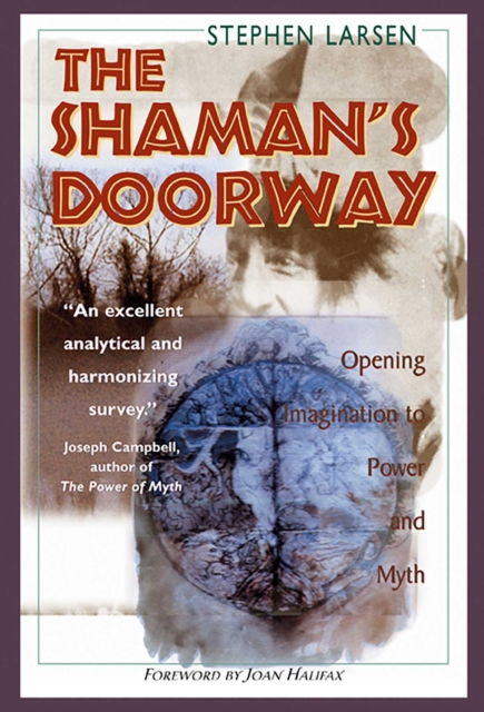 The Shaman's Doorway : Opening Imagination to Power and Myth, EPUB eBook