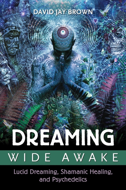 Dreaming Wide Awake : Lucid Dreaming, Shamanic Healing, and Psychedelics, EPUB eBook
