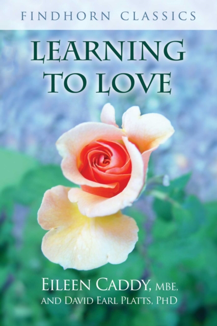 Learning to Love, EPUB eBook