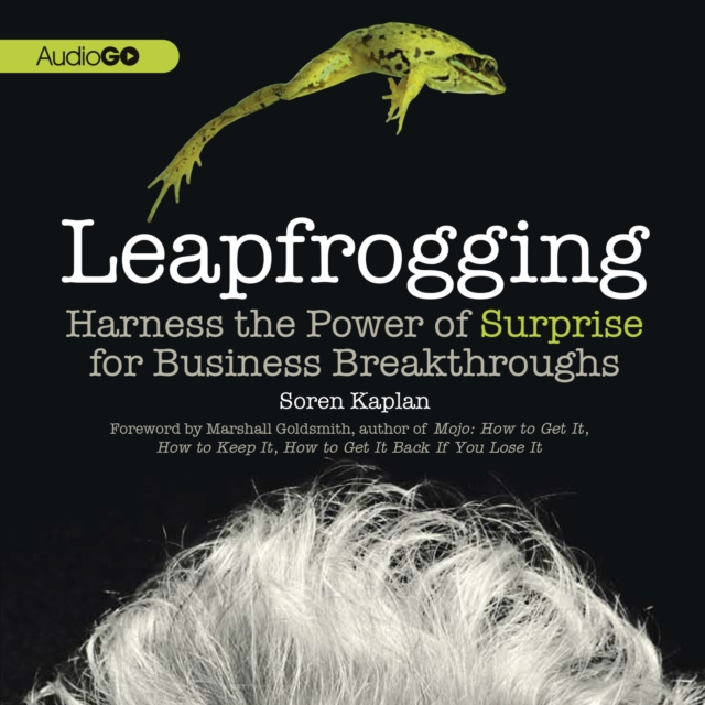 Leapfrogging, eAudiobook MP3 eaudioBook