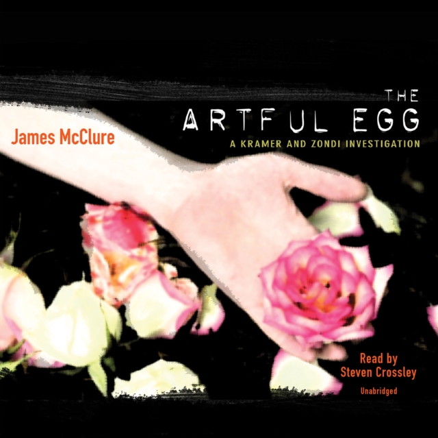 The Artful Egg, eAudiobook MP3 eaudioBook
