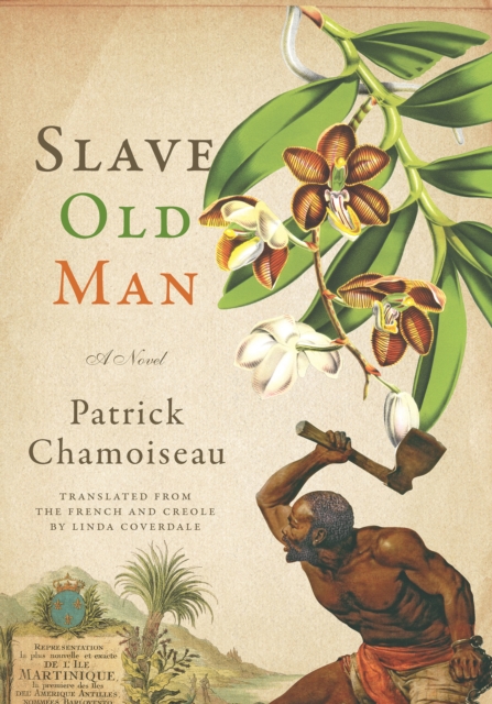 Slave Old Man : A Novel, EPUB eBook