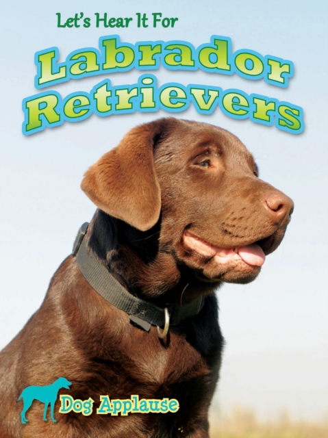 Let's Hear It For Labrador Retrievers, PDF eBook