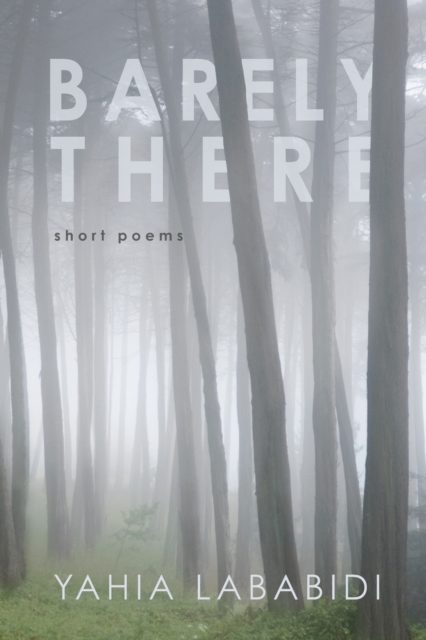 Barely There : Short Poems, EPUB eBook
