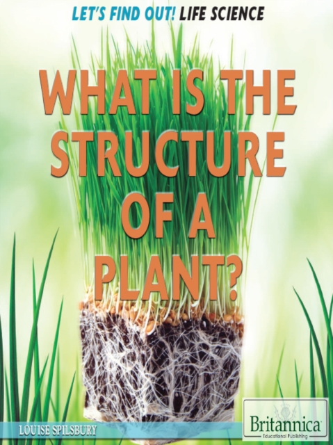 What Is the Structure of a Plant?, PDF eBook