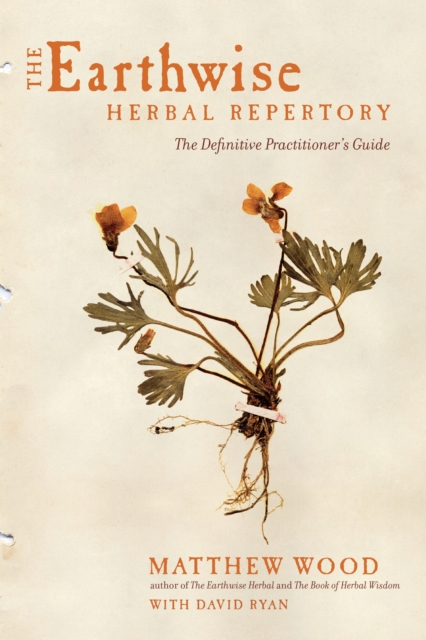 The Earthwise Herbal Repertory : The Definitive Practitioner's Guide, Paperback / softback Book