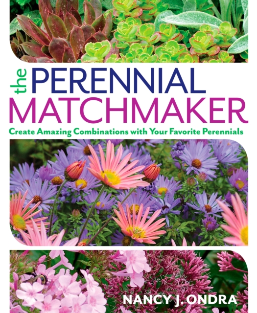 Perennial Matchmaker, EPUB eBook