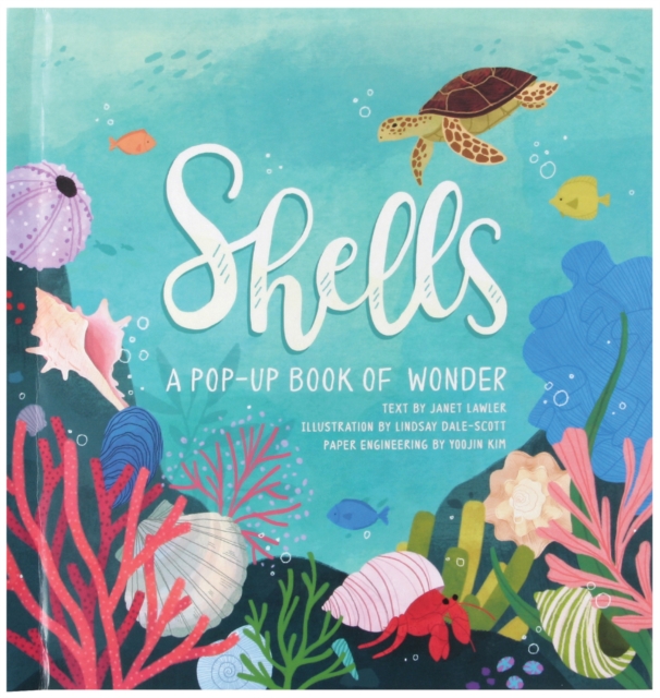 Shells : A Pop-Up Book of Wonder, Hardback Book