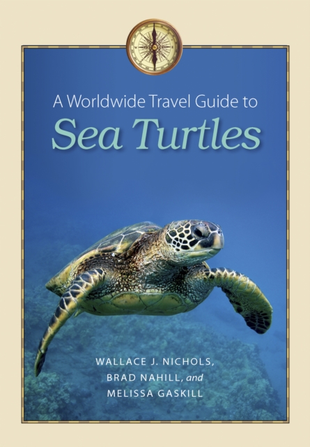 A Worldwide Travel Guide to Sea Turtles, EPUB eBook