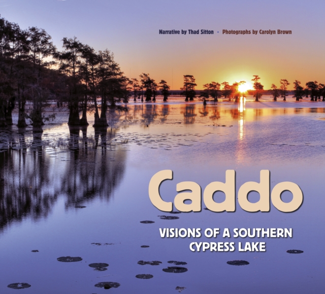 Caddo : Visions of a Southern Cypress Lake, EPUB eBook
