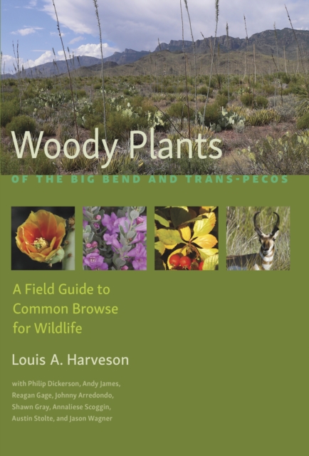 Woody Plants of the Big Bend and Trans-Pecos : A Field Guide to Common Browse for Wildlife, EPUB eBook