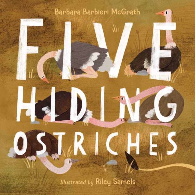 Five Hiding Ostriches, Hardback Book