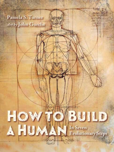 How to Build a Human, Hardback Book
