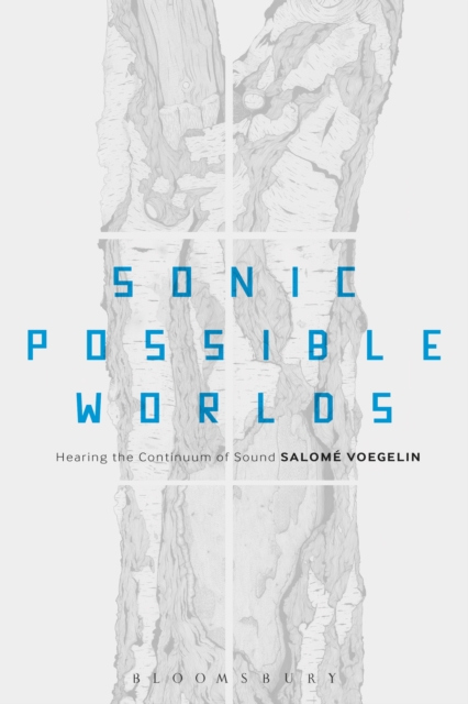 Sonic Possible Worlds : Hearing the Continuum of Sound, EPUB eBook