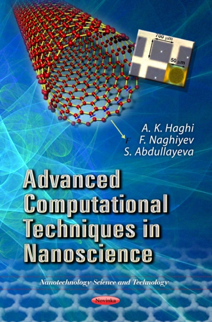 Advanced Computational Techniques in Nanoscience, PDF eBook