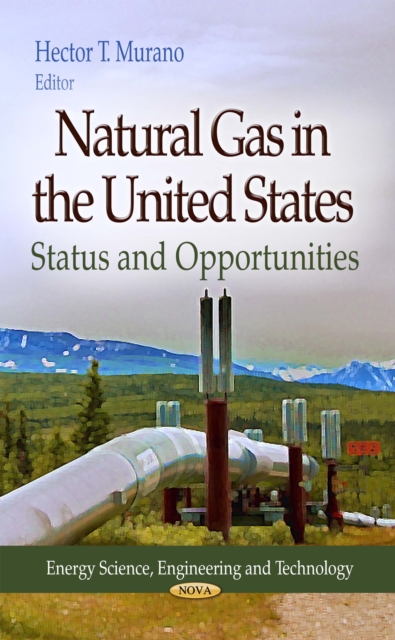 Natural Gas in the United States : Status and Opportunities, PDF eBook