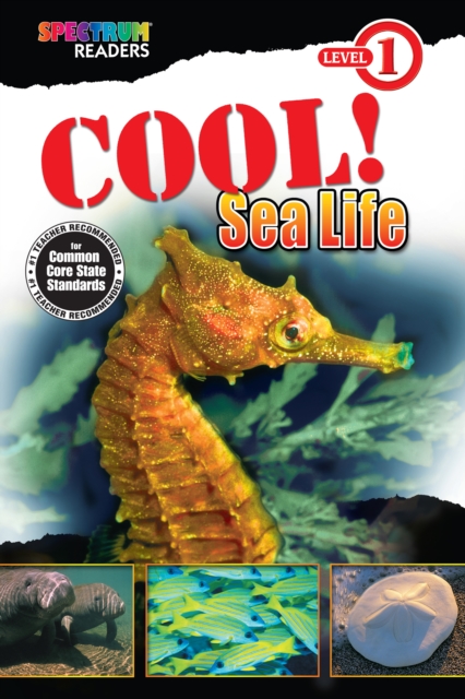 Cool! Sea Life : Level 1, EPUB eBook