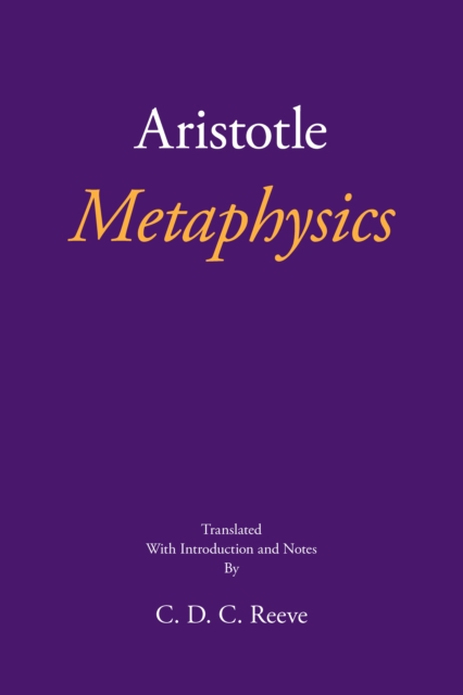 Metaphysics, Paperback / softback Book