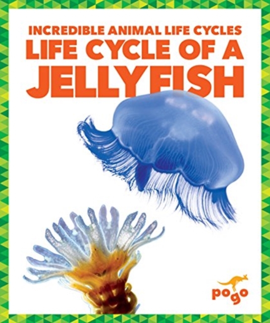 Life Cycle of a Jellyfish, Hardback Book
