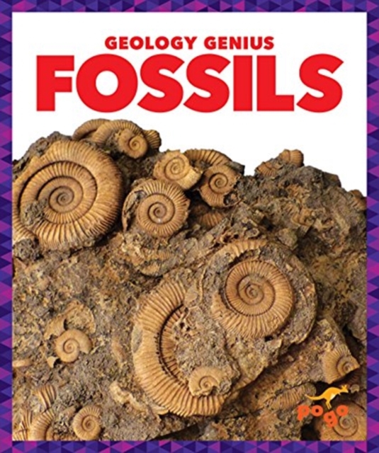 Fossils, Hardback Book