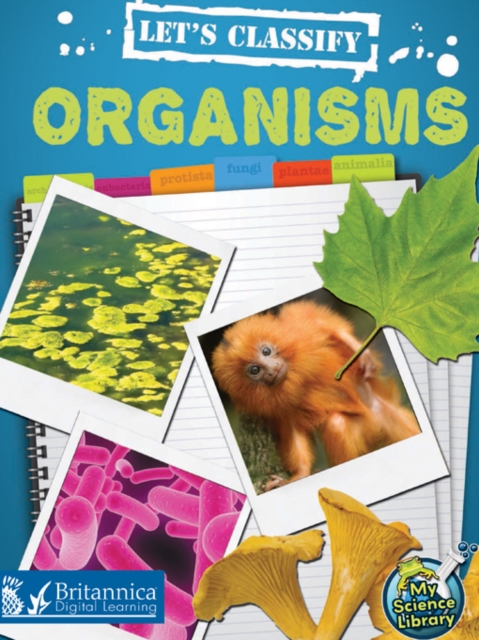 Let's Classify Organisms, PDF eBook
