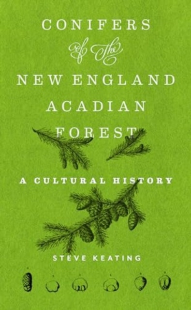 Conifers of the New England-Acadian Forest : A Cultural History, Hardback Book