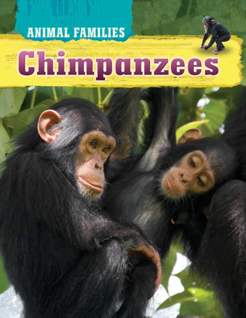 Chimpanzees, PDF eBook