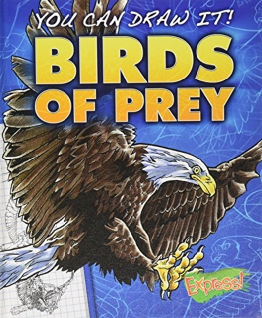 Birds of Prey, Hardback Book