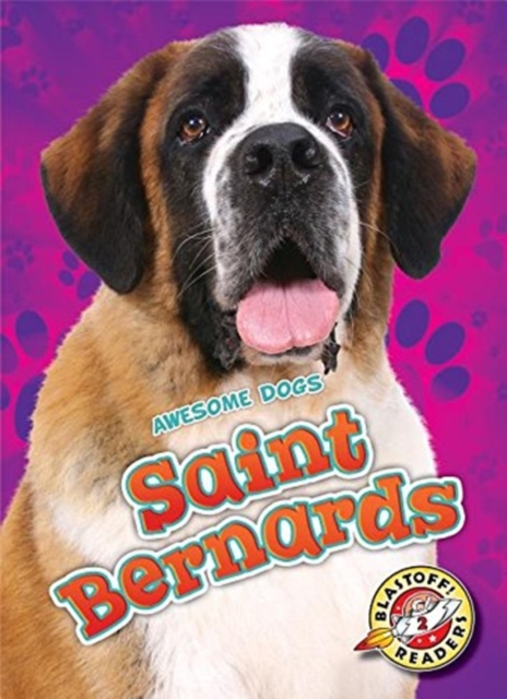 Saint Bernards, Hardback Book