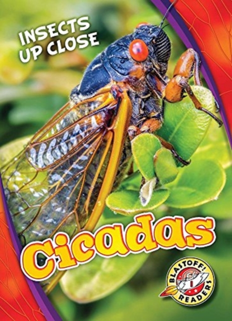 Cicadas, Hardback Book