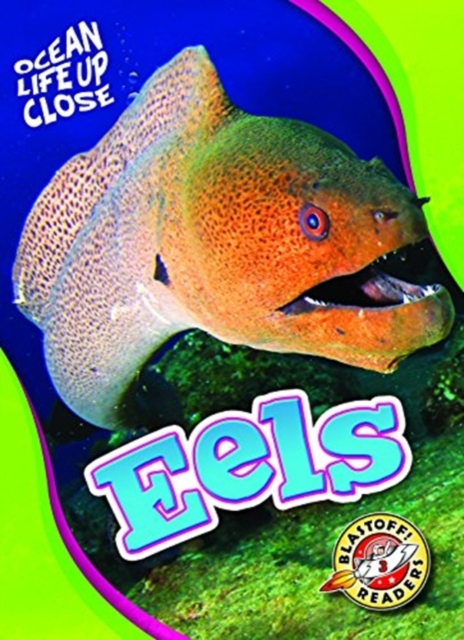 Eels, Hardback Book