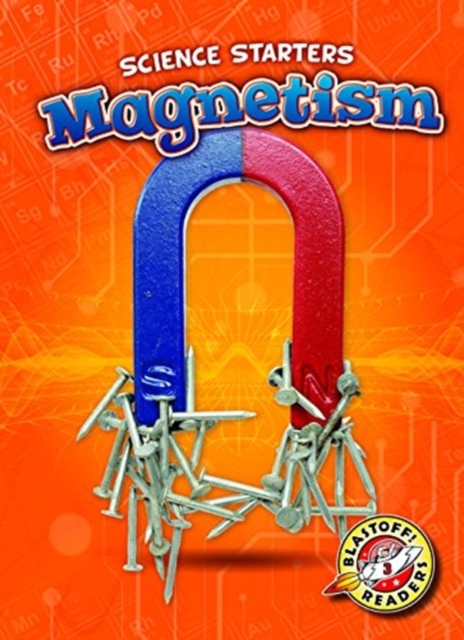 Magnetism, Hardback Book