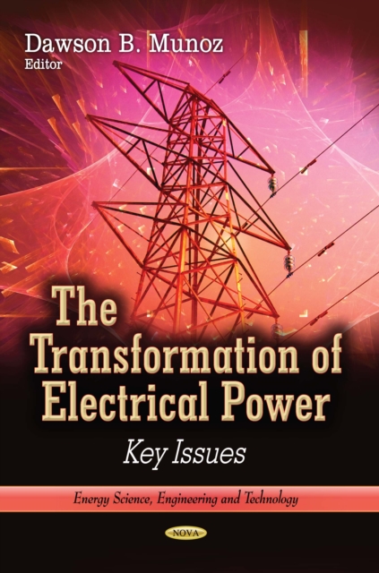 The Transformation of Electrical Power : Key Issues, PDF eBook