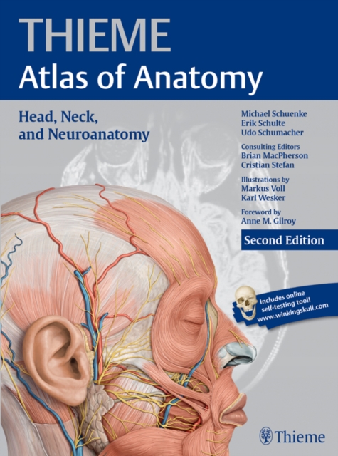 Head, Neck, and Neuroanatomy (THIEME Atlas of Anatomy), EPUB eBook