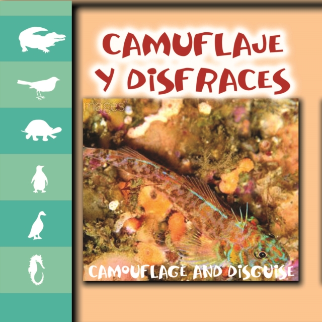 Camuflaje y disfraz : Camouflage and Disguise, PDF eBook