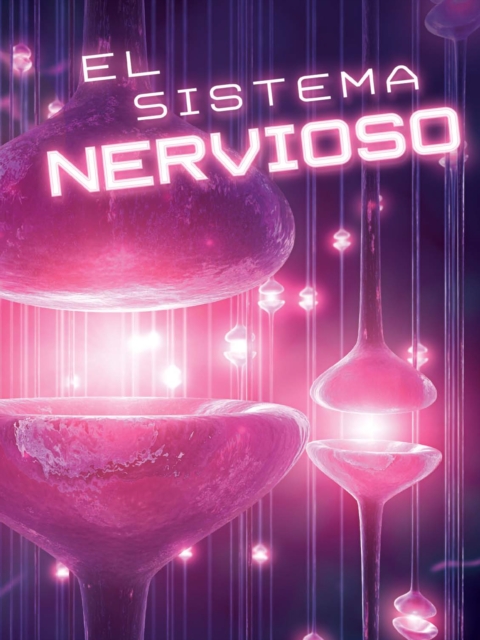 El sistema nervioso : The Nervous System, PDF eBook