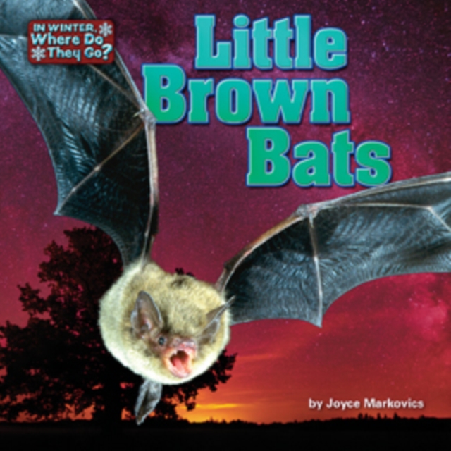 Little Brown Bats, PDF eBook