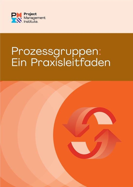 Process Groups: A Practice Guide (GERMAN), EPUB eBook