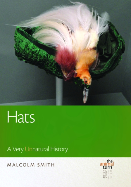 Hats : A Very UNnatural History, EPUB eBook