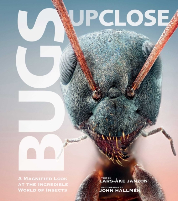Bugs Up Close : A Magnified Look at the Incredible World of Insects, EPUB eBook