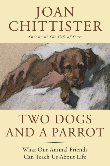 Two Dogs and a Parrot : What Our Animal Friends Can Teach Us About Life, PDF eBook