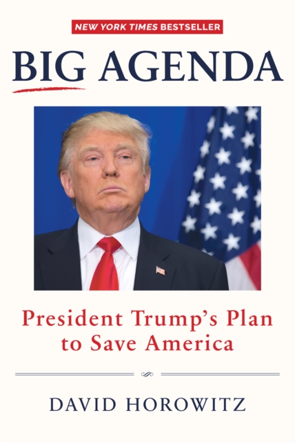 Big Agenda : President Trump's Plan to Save America, EPUB eBook