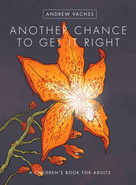 Another Chance to Get It Right (2016 Edition), EPUB eBook