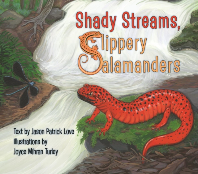 Shady Streams, Slippery Salamanders, EPUB eBook
