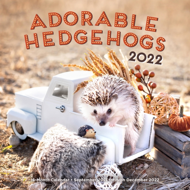 Adorable Hedgehogs 2022 : 16-Month Calendar - September 2021 through December 2022, Calendar Book